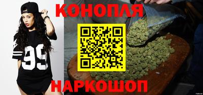 гашик Краснознаменск